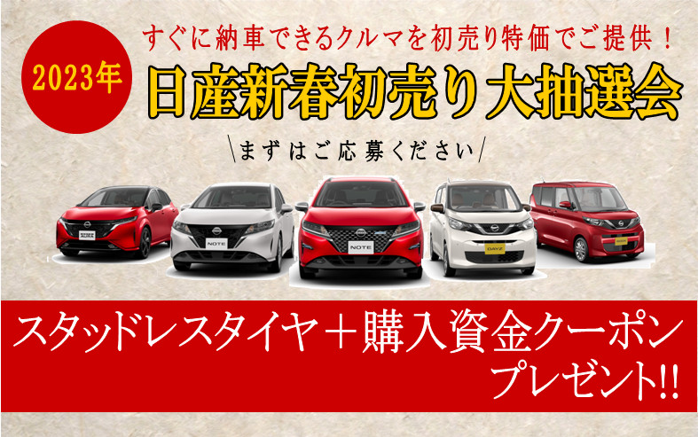 帯広日産 釧路日産自動車 応募受付 帯広 チラシ