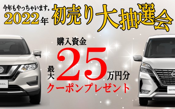 帯広日産 釧路日産自動車 応募受付 帯広 チラシ